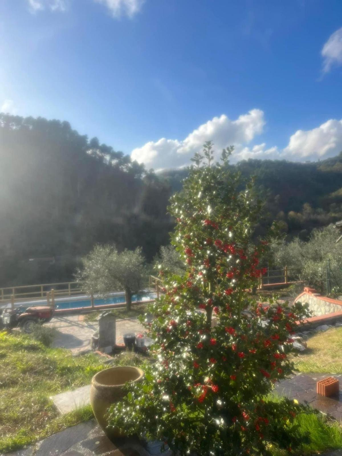 Podere Il Glicine Wellness Charme & Relax Fresonara  Εξωτερικό φωτογραφία